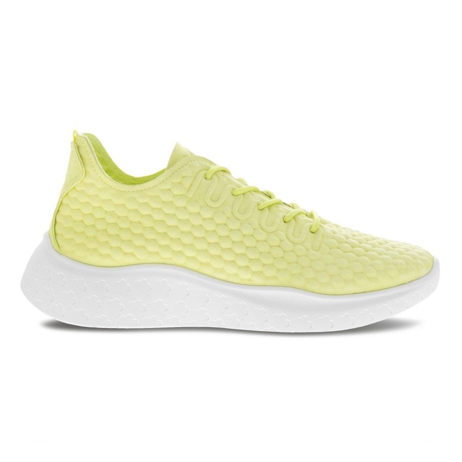 Sunny Lime
